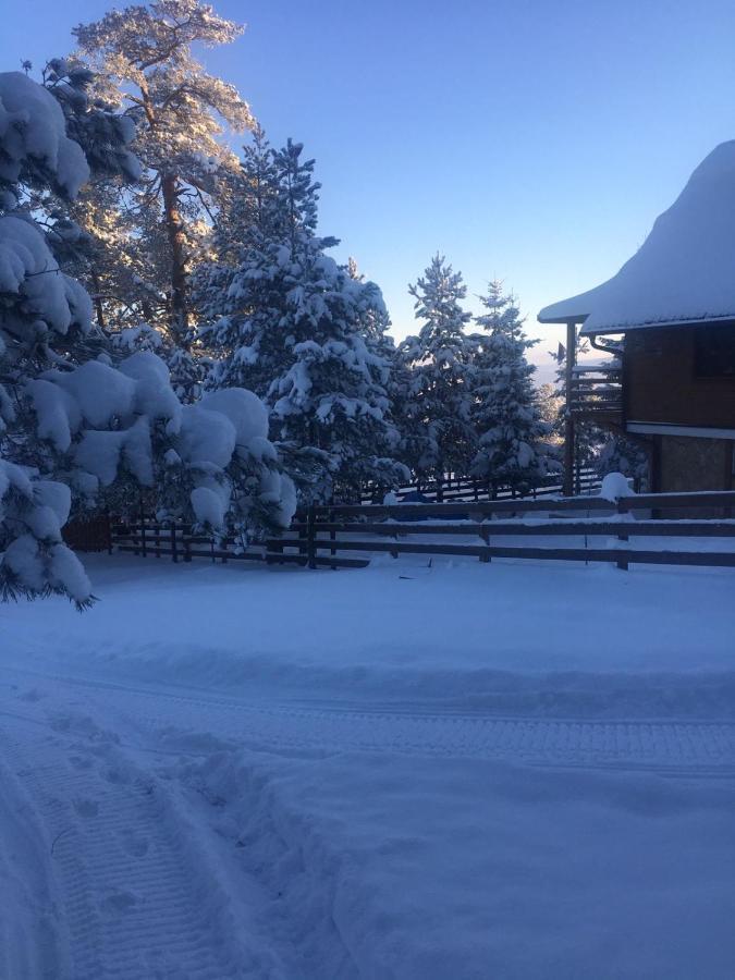 Apartmani Tornik-Planinska Kuca Zdravkovic Dobroselica Exterior foto