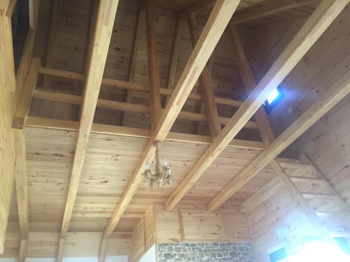 Apartmani Tornik-Planinska Kuca Zdravkovic Dobroselica Exterior foto
