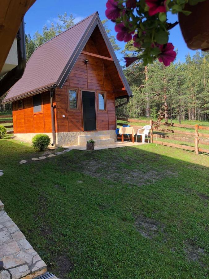 Apartmani Tornik-Planinska Kuca Zdravkovic Dobroselica Exterior foto