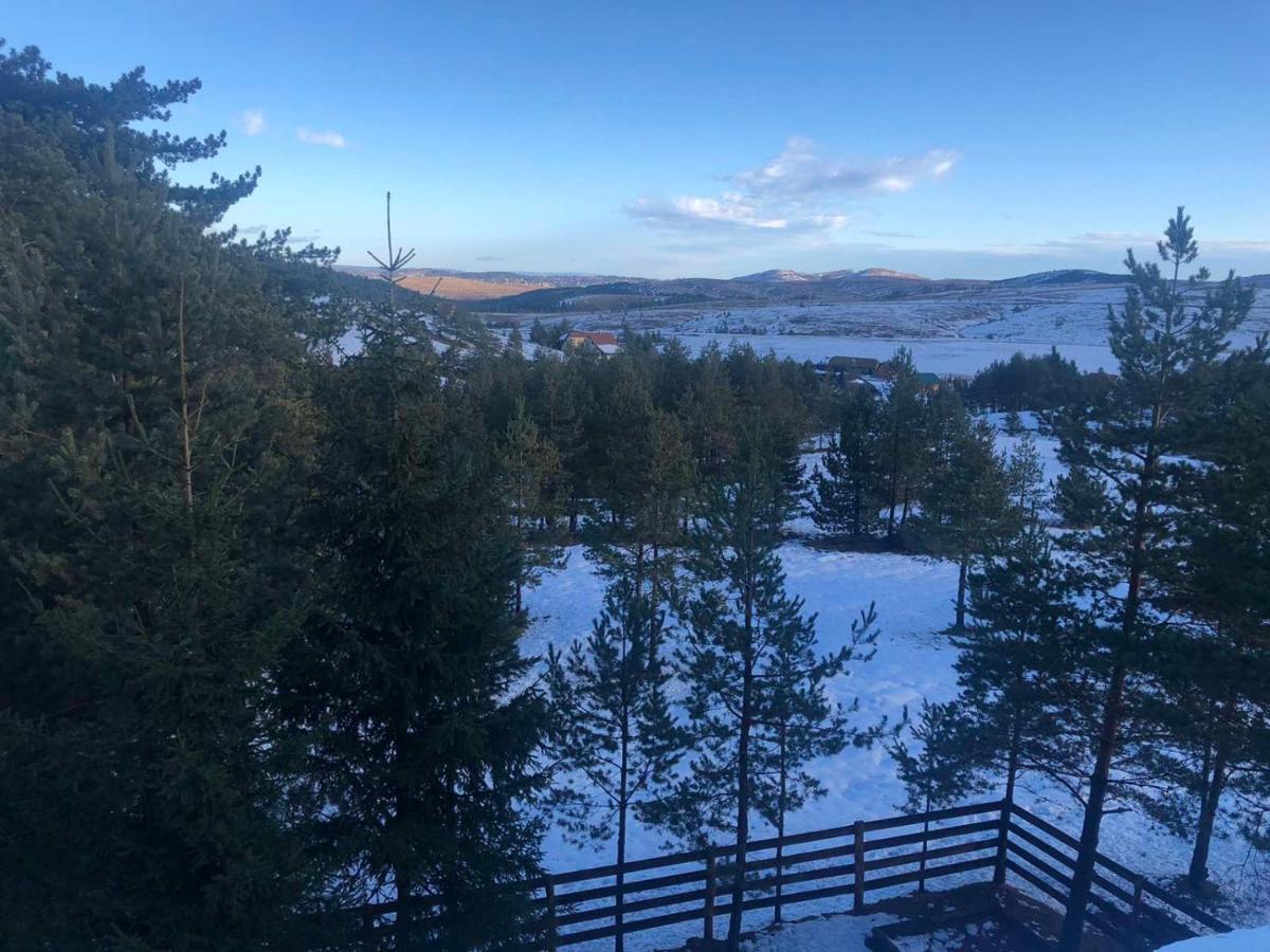 Apartmani Tornik-Planinska Kuca Zdravkovic Dobroselica Exterior foto